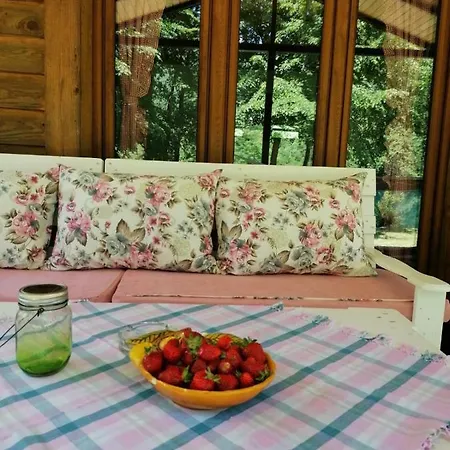 Holiday House 